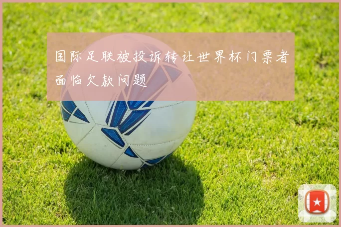 国际足联被投诉转让世界杯门票者面临欠款问题