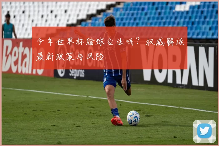 今年世界杯赌球合法吗?权威解读最新政策与风险