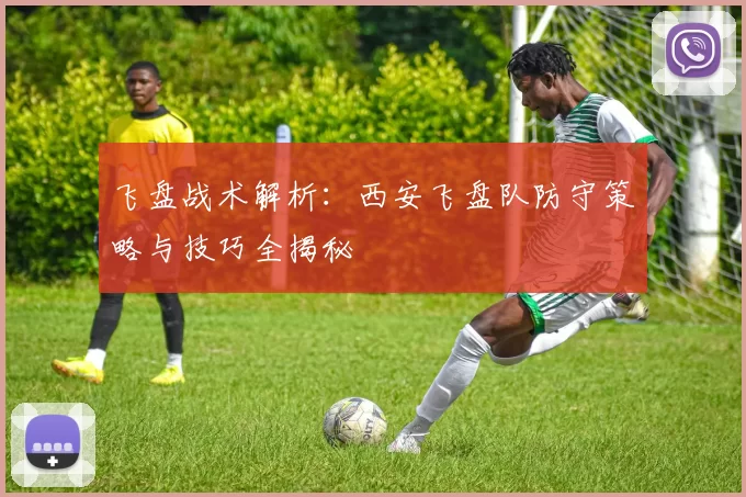 飞盘战术解析：西安飞盘队防守策略与技巧全揭秘