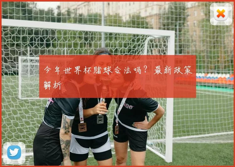 今年世界杯赌球合法吗？最新政策解析