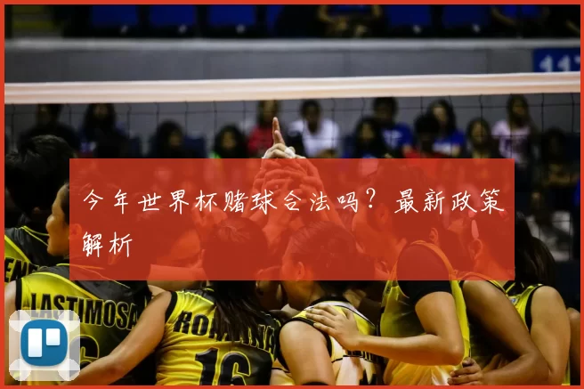 今年世界杯赌球合法吗?最新政策解析