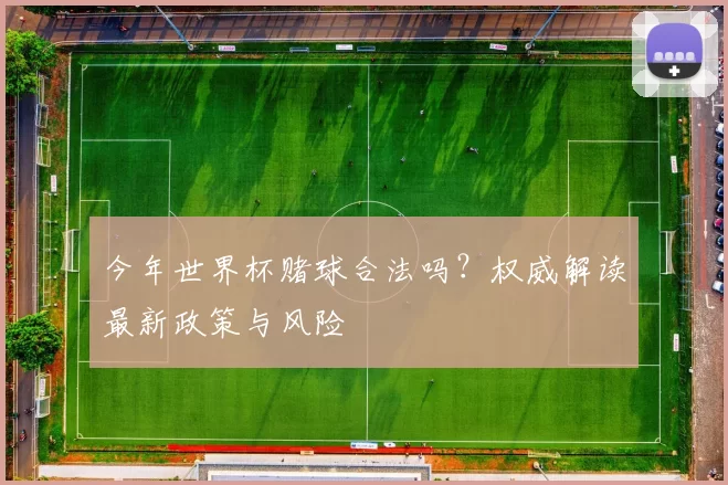 今年世界杯赌球合法吗？权威解读最新政策与风险