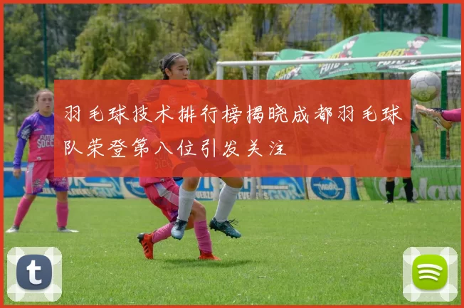 羽毛球技术排行榜揭晓成都羽毛球队荣登第八位引发关注