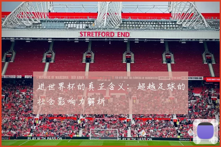 进世界杯的真正含义:超越足球的社会影响力解析
