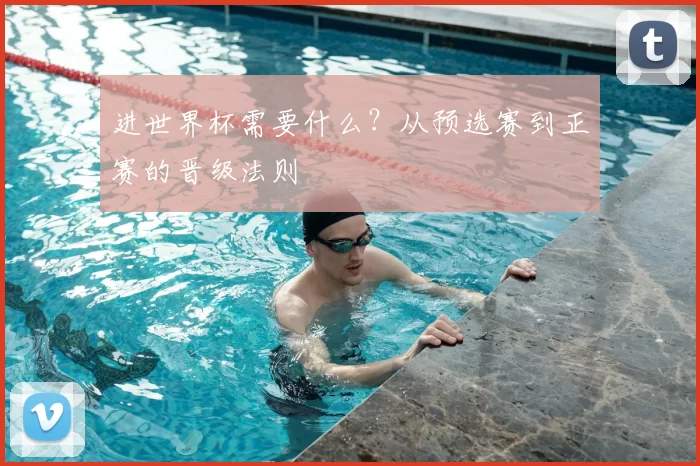 进世界杯需要什么?从预选赛到正赛的晋级法则