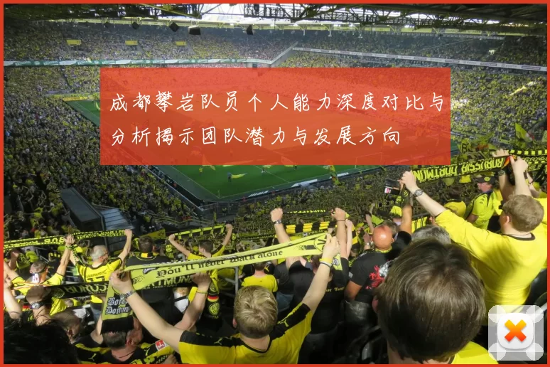 成都攀岩队员个人能力深度对比与分析揭示团队潜力与发展方向
