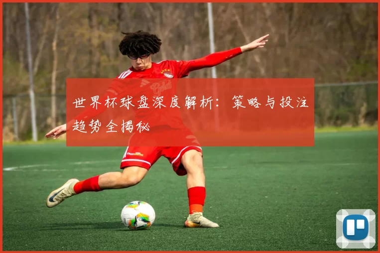 世界杯球盘深度解析:策略与投注趋势全揭秘