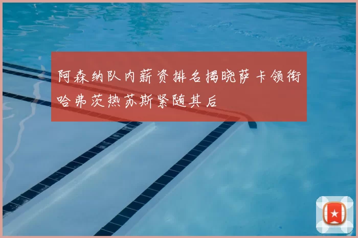 阿森纳队内薪资排名揭晓萨卡领衔哈弗茨热苏斯紧随其后