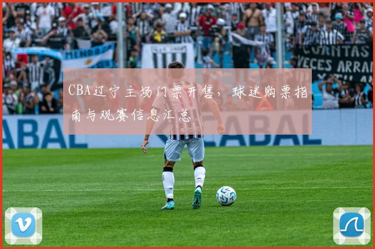 CBA辽宁主场门票开售,球迷购票指南与观赛信息汇总