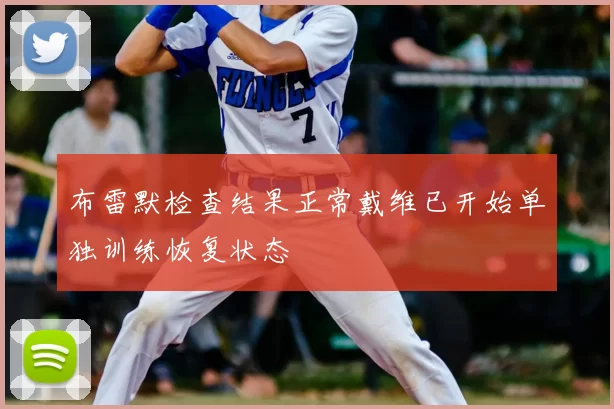 布雷默检查结果正常戴维已开始单独训练恢复状态