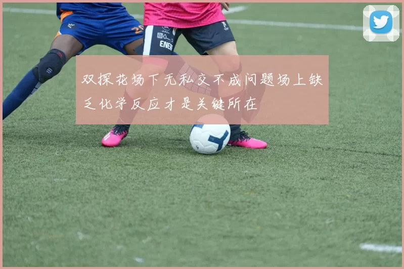 双探花场下无私交不成问题场上缺乏化学反应才是关键所在